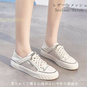 U[Xj[J[ fB[XV[Y EH[LOV[Y v bV  킢 _炩@lC C  r gAbv  r[t@[@ [Jbg