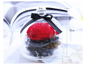  vU[uht[ ỉ i ͂Ȃ o Mtg KN [Y J[l[V v[g KX|bg hCt[ {bNXt Ǝ ̓ l l a