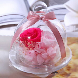  vU[uht[ ỉ i ͂Ȃ o Mtg KN [Y J[l[V v[g KX|bg hCt[ {bNXt Ǝ ̓ l l a