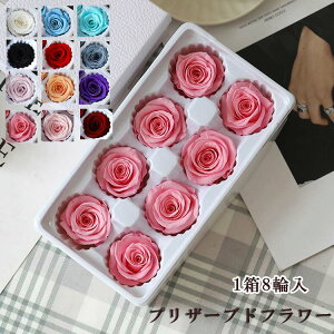  vU[uht[ 18֓ ỉ i ͂Ȃ o Mtg KN [Y v[g hCt[ Ǝ ̓ l l a j  ޏ LO 