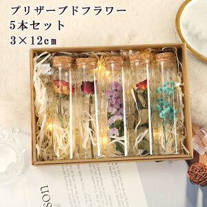  vU[uht[ 5{Zbg 5{ ỉ i ͂Ȃ o Mtg KN [Y v[g KX|bg hCt[ {bNXt Ǝ ̓ l l a