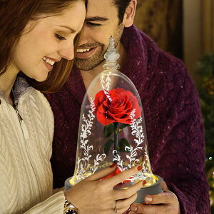  vU[uht[ o KN [Y ỉ i ͂Ȃ Mtg v[g KX|bg hCt[ {bNXt LEDCgt Ǝ ̓ l l a 