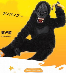 qǂ nEB Wp[ Zbg LbY j̎q ̎q eq b p[eB[  V[EFA    `pW[C ʂ nT NX}X Aj} u 