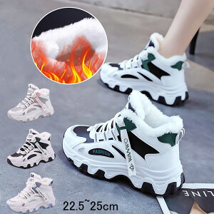 Xj[J[ fB[X ̎q hC h h ۉ N C ɂȂ ₷ 5cm r  킢 lC  t H ~ w Ǝ  