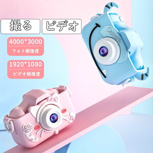 fW^J qp gCJ 2000f USB[d ^ B 32GBSDJ[ht { 蕨 av[g ct w ̎q j̎q a q̓ NX}X v[