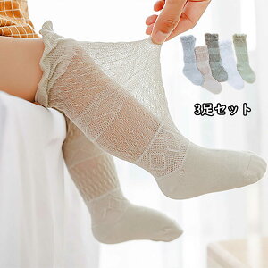 Ԃ C xr[ 3Zbg n V C j̎q ̎q  ʋCQ Lk xr[pi ۈ牀 ct 