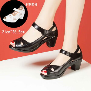 T_ {v U[ pvX obN{ ɂ ɂȂ 6Z`q[ ₷ EFbW\[ ~[ ItBX EGbW\[  ̓  hV̓ 