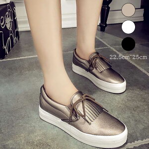 Xj[J[ Xb| V[Y [Jbg fB[X y y  n ₷ Xj[J[ tbgV[Y 傫TCY U  t  H 