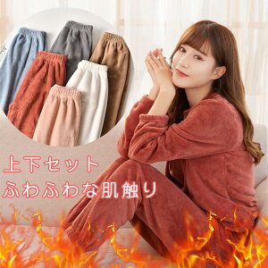  [EFA  ZbgAbv ㉺Zbg(fB[X H ~ pW} QԒ g   Opc Zbg  ӂӂ bNXEFA v[g Mtg