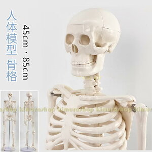 l̖͌^ i͌^  45cm 85cm WX^ht iW{ if Sgi͌^   w w Uw  @ ֐ p p A vJ fBXvC if