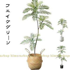 tFCNO[ CeAO[ ^Ηt A lHϗtA lHA ϗt lHt ͂ȂO[A ԉ fR[V lH| tFCN| K[fjOtF