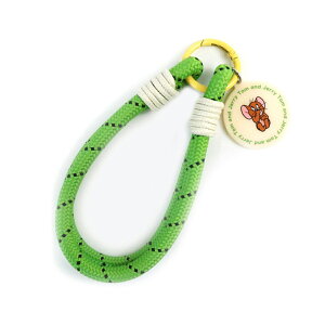 gƃWF[ X}zXgbv obO`[ fB[X g WF[ ^tB[ X}zP[X iphone oCXgbv 킢 LN^[ Mtg GIFT