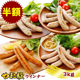 【6月5日(水)23:30～30分限定】やまと豚 生ウインナー セット(全4種)たっぷり3kg NS-AW | 送料無料 父の日 グルメ 食べ物 お中元 御中元 食品 肉 ギフト 無添加 ソーセージ ウィンナー 生ソーセージ 詰め合わせ 内祝い お返し 出産内祝い 冷凍食品 お取り寄せグルメ コンビニ