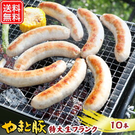 【最大800円OFFクーポン】やまと豚 生フランク 80g×10本 NS-DS | 送料無料 ギフト 母の日 食べ物 ソーセージ 生ソーセージ フランクフルト フランク 無添加 ウインナー ウインナーソーセージ ジャンボ 冷凍食品 食品 お取り寄せグルメ お肉 つまみ お取り寄せ 冷凍 グルメ