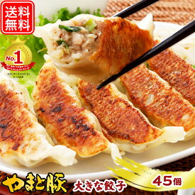 【最大800円OFFクーポン】やまと豚 大きな肉餃子 45個 | 送料無料 ギフト お年賀 食べ物 ジャンボ餃子 ぎょうざ 冷凍餃子 ギョウザ 大きい 大きい餃子 大きな餃子 冷凍食品 肉餃子 食品 お取り寄せグルメ お肉 お取り寄せ つまみ 内祝 お返し 出産内祝い 豚肉 美味しいもの