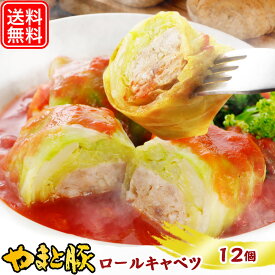 【最大800円OFFクーポン】国産 ロールキャベツ トマトソース セット NS-AV | 送料無料 ギフト 母の日 食べ物 冷凍食品 食品 お取り寄せグルメ 内祝い お取り寄せ 冷凍 グルメ 美味しい もの お返し 出産 出産内祝い 惣菜 洋食 無添加 食品 おでん おでんの具 煮込みソース