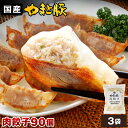 【ポイント5倍】やまと豚 餃子 90個 1.6Kg NS-AP | 送料無料 お中元 早割 御中元 ギフト 夏ギフト 食べ物 詰め合わせ グルメ 肉 惣菜 ぎょうざ やみつき 冷凍餃子 ギョーザ 冷凍食品 肉餃子 お取り寄せグルメ コンビニ 後払い 可能 お取り寄せ お返し 出産内祝い 豚肉 美味
