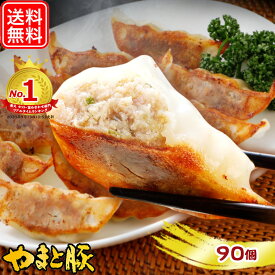 【最大800円OFFクーポン】やまと豚 餃子 90個 1.6Kg NS-AP | 送料無料 ギフト 母の日 食べ物 ぎょうざ 冷凍餃子 ギョウザ 冷凍食品 肉餃子 食品 お取り寄せグルメ お肉 お取り寄せ おつまみ 内祝い お返し 出産内祝い 豚肉 コンビニ 後払 可能 美味しいもの グルメ 肉 惣菜