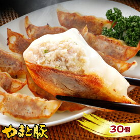 やまと豚 肉餃子 30個 | 冷凍餃子 ギョウザ ぎょうざ 肉餃子 お取り寄せグルメ お取り寄せ 惣菜 業務用 中華 点心 中華料理 一人暮らし プレゼント 食べ物 肉 おかず 後払い コンビニ 可能 食品 ご飯のお供 ギフト 豚肉 お肉 おつまみ 冷凍 手土産 内祝 お返し お礼 贈物