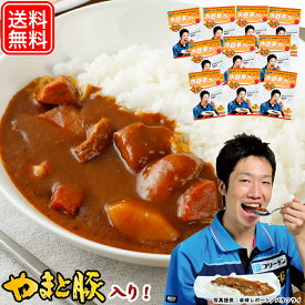 水谷隼カレー200g 10個 |送料無料 レトルトカレー 高級 父の日 母の日 プレゼント 食べ物 グルメ ギフトまとめ買い 詰め合わせ 甘口 カレー 食べ物 お肉屋さんの お取り寄せグルメ 常温 ご飯のお供 食品 グルメ お取り寄せ セット 湯煎 温めるだけ 常温保存 レトルト食品