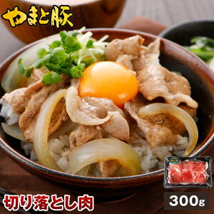 Y ܂Ɠ ؂藎Ƃ 300g | ؓ  ܂  ؂藎Ƃ  ؏Ԑ؂ 킯 󂠂 㕥 \ ⓀHi ؂ܐ؂ ؏ Ԑg ؂ Hו Mtg   