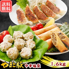 【最大800円OFFクーポン】やまと豚 中華福袋 1.6kg NS-CJ | 送料無料 ギフト 母の日 食べ物 グルメ福袋 食品 餃子 冷凍餃子 ギョウザ ぎょうざ 春巻 春巻き 焼売 しゅうまい お取り寄せグルメ 夕飯 中華 点心 惣菜 中華惣菜 冷凍 お試し おつまみ 内祝 お返し 出産内祝 豚肉