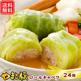 国産 ロールキャベツ 24個 NS-CP | 送料無料 ギフト 母の日 食べ物 冷凍食品 食品 お取り寄せグルメ 内祝い お取り寄せ 冷凍 グルメ 美味しい もの お返し 出産内祝い 出産 結婚 贈答 お惣菜 セット お 取り寄せ 惣菜 洋食 無添加 お肉 食品 おでん おでんの具 おでん種