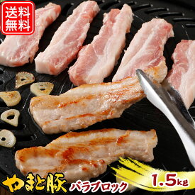 国産 やまと豚 バラ ブロック 1.5kg NS-CY | 送料無料 ギフト 母の日 食べ物 豚肉 肉 やまと 豚 ブタ ぶた お肉 豚バラ 食品 焼肉 精肉 ステーキ 塊肉 bbq カルビ 後払い 可能 商品 食品 ギフト 取り寄せ お取り寄せ お取り寄せグルメ 内祝い お返し 出産内祝い おいしい