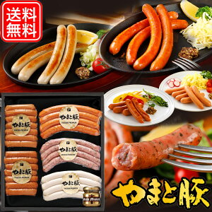 y|Cg5{zECi[ Hה Zbg Mtg 808 [①]   ăMtg hV̓ Mtg Hו v[g c O  \[Z[W 蕨  EBi[ n