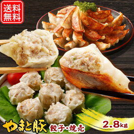 【最大800円OFFクーポン】やまと豚 餃子 焼売 食べ比べセット 2.8Kg NS-DN | 送料無料 ギフト 母の日 食べ物 しゅうまい シューマイ ぎょうざ 冷凍餃子 中華 点心 惣菜 中華惣菜 食品 冷凍食品 お取り寄せグルメ お肉 内祝い お取り寄せ 冷凍 グルメ 美味しい お返し 出産