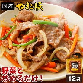 やまと豚 プルコギ (2.1Kg) 12P セット NS-BM | 送料無料 お歳暮 ギフト お年賀 肉 食べ物 グルメ 詰め合わせ 冬ギフト プレゼント タレ漬け 味付き 豚肉 取り寄せ 味付け肉 冷凍食品 お取り寄せグルメ お返し 出産 出産内祝い お取り寄せ おいしい ご飯の供 後払い