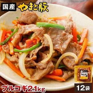 ܂Ɠ vRM (2.1Kg) 12P Zbg NS-BM |   ăMtg hV̓ Mtg Hו v[g c O  ^Ђ t ؓ  t ⓀHi 