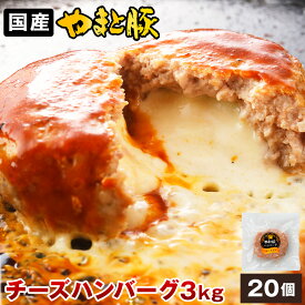 やまと豚 チーズ イン ポーク ハンバーグ 3kg(20個入) | 送料無料 ギフト 冷凍 お中元 夏ギフト 御中元 国産 チーズハンバーグ ハンバーグステーキ 豚 豚肉 グルメ 肉 惣菜 冷凍食品 お取り寄せグルメ 後払い ロコモコ お取り寄せ 美味しいもの パティ お返し 出産 出産内祝