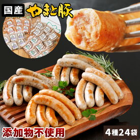 やまと豚 生ウインナー セット(全4種)たっぷり3kg NS-AW | ソーセージ 無添加 ウインナー 無リン お中元 ギフト 御中元 食品 食べ物 添加物なし 無塩せき プレゼント ギフト おつまみ グルメ お祝い お取り寄せグルメ 冷凍ウインナー 冷凍 コンビニ 後払 可能 生ソーセージ