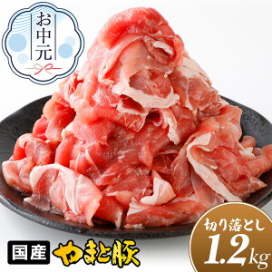 Y ܂Ɠ ؂藎Ƃ K 1.2Kg NS-DY ss |   ăMtg hV̓ Mtg Hו v[g c O  Ⓚ ؓ 󂠂  Ԑg ؂藎Ƃ ē ؂