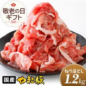 Y ܂Ɠ ؂藎Ƃ K 1.2Kg NS-DY ss |   ăMtg hV̓ Mtg Hו v[g c O  Ⓚ ؓ 󂠂  Ԑg ؂藎Ƃ ē ؂