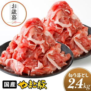 Y ܂Ɠ ؂藎Ƃ K 2.4Kg NS-DX ss |  ؓ  ăMtg hV̓ Mtg Hו v[g c O   Ԑg ؂藎Ƃ ē ؂ ؏ 