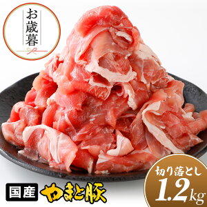 Y ܂Ɠ ؂藎Ƃ K 1.2Kg NS-DY ss |  Ε Mtg Ε  Hו O lߍ킹 ~Mtg v[g Ⓚ ؓ 󂠂  Ԑg ؂藎Ƃ ē ؂ 