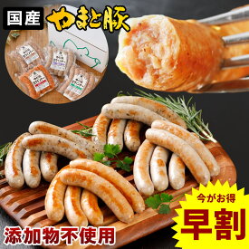 【早割】やまと豚 生ウインナー 4種お試しセット NS-AF | お歳暮 ギフト 冬ギフト ウインナー 無添加 無塩せき 冷凍 ソーセージ 後払い 詰め合わせ 冷凍食品 ウィンナー プチギフト 生ソーセージ お取り寄せグルメ