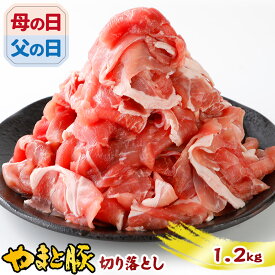 【最大800円OFFクーポン】国産 やまと豚 切り落とし肉 メガ盛り 1.2Kg NS-DY ss | 送料無料 ギフト 豚肉 母の日 食べ物 小分け 切り落とし 肉 お肉 焼肉 豚こま 豚小間 豚コマ 小間切れ 訳あり わけあり コンビニ 後払い 可能 商品 冷凍 食品 お取り寄せ グルメ 美味しい