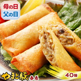 やまと豚 肉春巻 40本 ss | 送料無料 父の日 グルメ 食べ物 お中元 御中元 食品 肉 ギフト 春巻 春巻き はるまき 冷凍 業務用 中華 中華惣菜 おつまみ 冷凍食品 お取り寄せグルメ 夕飯 内祝い お取り寄せ 美味しいもの お返し 出産 結婚 贈答 出産内祝い 冷凍 美味しい もの