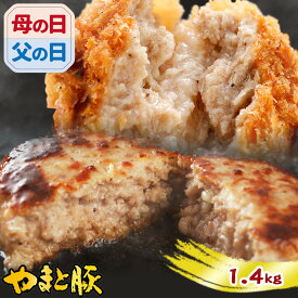 ハンバーグ メンチカツ 詰め合わせ 1.4Kg NS-AZ ss | 送料無料 ギフト 母の日 食べ物 冷凍 メンチ 冷凍食品 食品 お取り寄せグルメ お肉 内祝い お取り寄せ グルメ 美味しいもの お返し 出産 結婚 贈答 出産内祝い セット 肉 食べ比べ 豚肉 お惣菜 後払い 可能 コンビニ