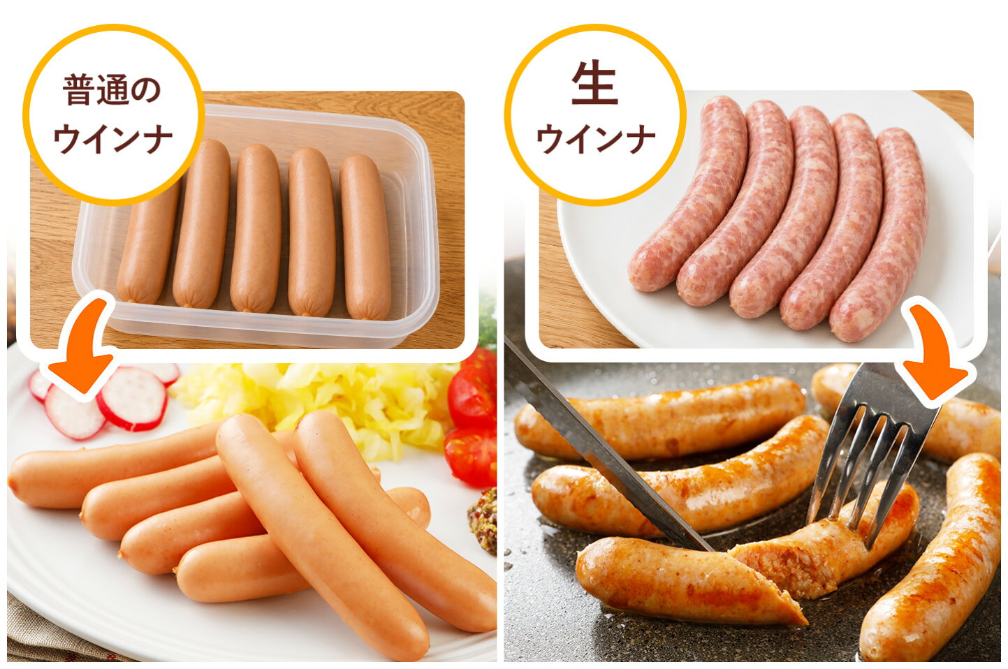 ウインナー と は