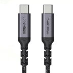 USB C Type C ケーブル (Gen2) 100W/5A急速充電 USB3.1 PD3.0対応 4K / 60Hz 映像出力 2m e-Marker内蔵