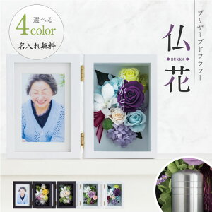vU[uht[ ԁy`shizuku`z ʔv O e    ʔv ybg  ʐ^  A tHgt[ 茳{ bZ[W d ͂Ȃ