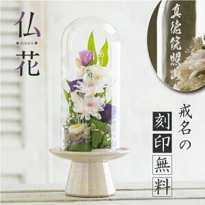 yX[p[Z[ 2,000~OFFN[|zy̍󖳗z vU[uht[  ʔv  KXh[  dp  h[ ~ O ybg 䋟  茳