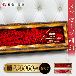 yX[p[Z[ 1,000~OFFN[|zvU[uht[y60ցz җj  O  j   JƏj JXj @l Mtg 60 v[g 60{ o KN t