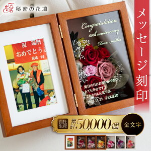 vU[uht[ җj  ސEj ʐ^ aj v[g  Ê j Êj j  e v[g  Mtg  S 100 Vzj  