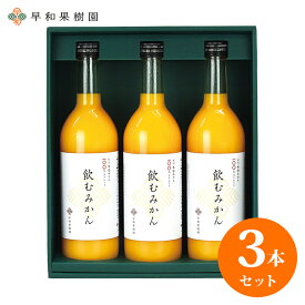 早和果樹園 有田みかんジュース【父の日 100％ストレートみかんジュース 飲むみかん フルーツジュース みかんジュレ ゼリー 高級 瓶詰 飲料 ギフト 果物 有田みかん 御礼 内祝 お返し 贈り物 健康飲料 健康食品 国産 果汁100% 美肌効果 ビタミンC 濃厚 柑橘】