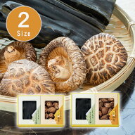 九州産原木椎茸・北海道産出し昆布詰合せ【だし昆布 干し椎茸 干しシイタケ 香信椎茸 内祝い お返し お祝…